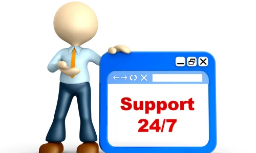24/7 ERP Helpdesk Support